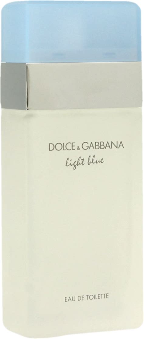 dolce gabbana light blue.|light blue dolce gabbana rossmann.